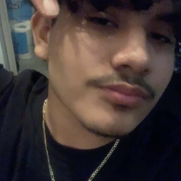 hugoiskool